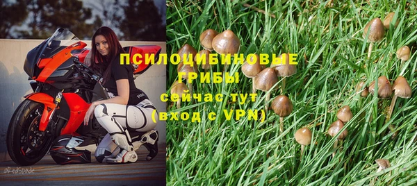 PSILOCYBIN Балашиха