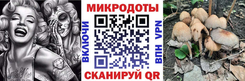 купить закладку  Серпухов  Галлюциногенные грибы мухоморы 