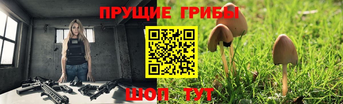 Серпухов  Галлюциногенные грибы GOLDEN TEACHER  Вход с VPN 